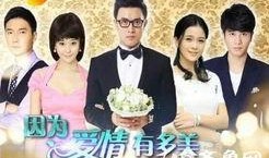 因为爱情有多美电视剧全集在线观看,重温经典爱情故事，感受真挚情感共鸣